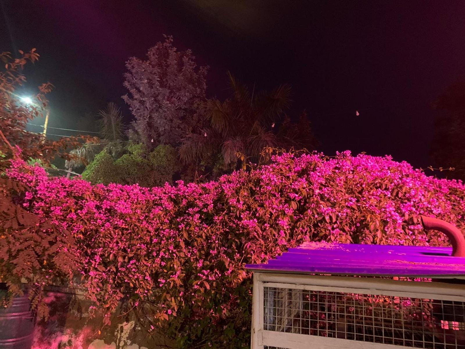 Nature Resort Agra  Exterior foto